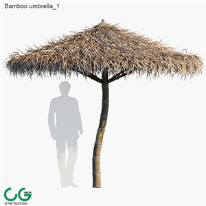 Bamboo umbrella tropical style 01